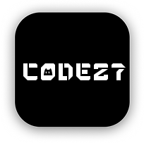 CODE27について
